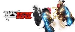 WS168